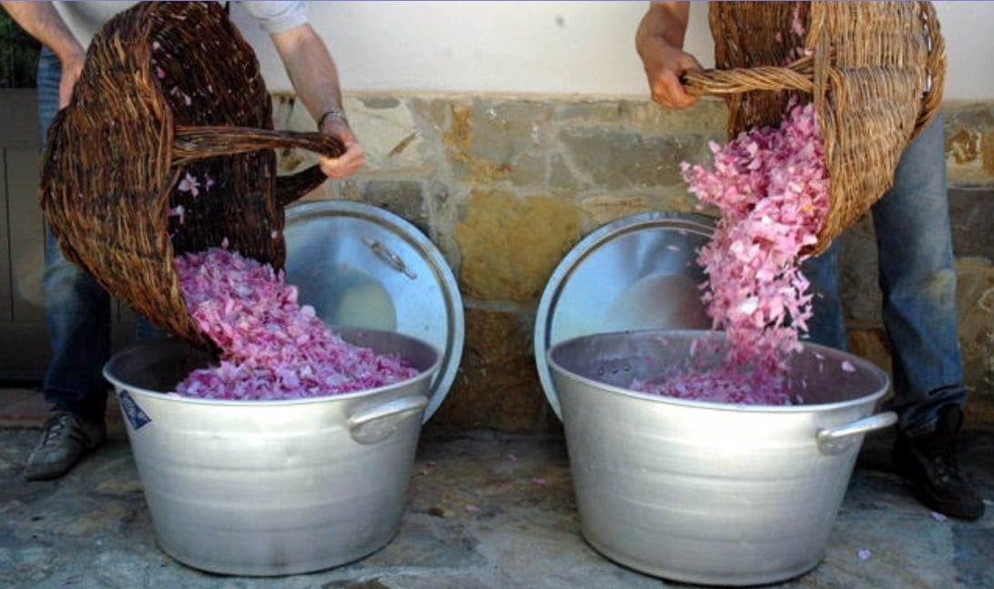 lavanda-chianti-02.jpg