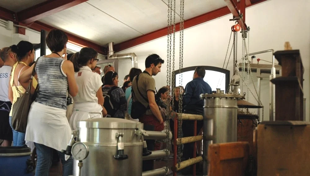 Gruppo di visitatori nella grande distilleria di Casalvento. In primo piano e sullo sfondo distillatori in Inox e rame. Paranchi con catene per movimentare i carichi
