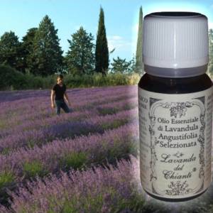 Flacone in vetro farmaceutico di olio essenziale di lavanda angustifolia Selezionata sullo sfondo Alessandro Domini e filari di lavanda. Etichetta carta con scritta: "olio essenziale di lavanda angustifolia selezionata"