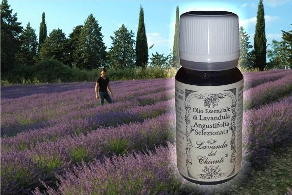 Flacone in vetro farmaceutico di olio essenziale di lavanda angustifolia Selezionata sullo sfondo Alessandro Domini e filari di lavanda. Etichetta carta con scritta: "olio essenziale di lavanda angustifolia selezionata"