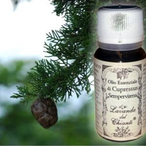 Pharmaceutical glass bottle of pure organic essential oil of Cypress on the background of berries and twigs