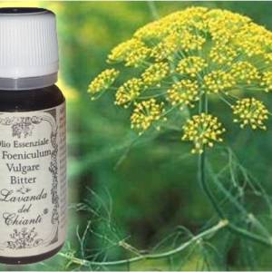 Pharmaceutical glass bottle of pure organic Bitter Fennel essential oil against a background of Sweet Fennel inflorescence