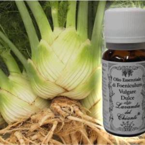 Pharmaceutical glass bottle of pure organic Sweet Fennel essential oil against a background of Bitter Fennel inflorescence