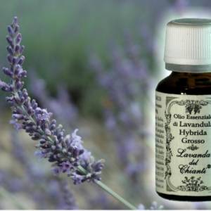 Pharmaceutical glass bottle of Grosso hybrid lavender essential oil with a lavender flower on the side. Paper label with writing: "Grosso hybrid lavender essential oil"