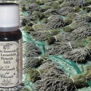 Flacone in vetro farmaceutico di olio essenziale di lavandaibrida MIX sullo sfondo di mazzi di lavanda al sole. Etichetta carta con scritta: "olio essenziale di lavanda ibrida MIX"