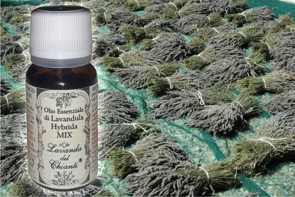 Flacone in vetro farmaceutico di olio essenziale di lavandaibrida MIX sullo sfondo di mazzi di lavanda al sole. Etichetta carta con scritta: "olio essenziale di lavanda ibrida MIX"