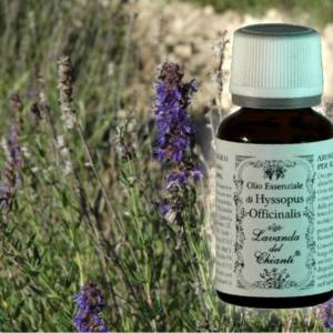 Pharmaceutical glass bottle of pure organic hyssop essential oil on a background of twigs and flowers