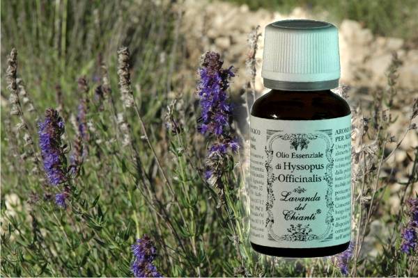 Flacone in vetro farmaceutico di puro olio essenziale biologico di Issopo sullo sfondo di rametti e fiori