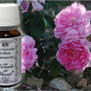 Pharmaceutical glass bottle of pure organic Damask Rose essential oil against the background of an inflorescence of flowers