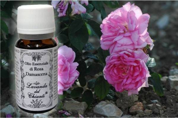 Flacone in vetro farmaceutico di puro olio essenziale biologico di Rosa di Damasco sullo sfondo di una infiorescenza di foglie e rametti di alloro