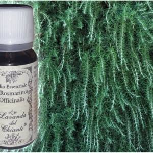 Pharmaceutical glass bottle of pure organic Rosemary essential oil against the background of an leaves and twigs