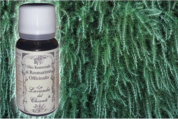 Pharmaceutical glass bottle of pure organic Rosemary essential oil against the background of an leaves and twigs