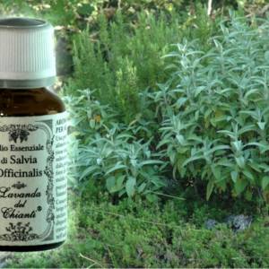 Flacone in vetro farmaceutico di puro olio essenziale biologico di Salvia sullo sfondo di rametti e foglie
