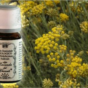 Flacone in vetro farmaceutico di olio essenziale di Elicriso italico biologico con fiori di elicriso giallo sullo sfondo